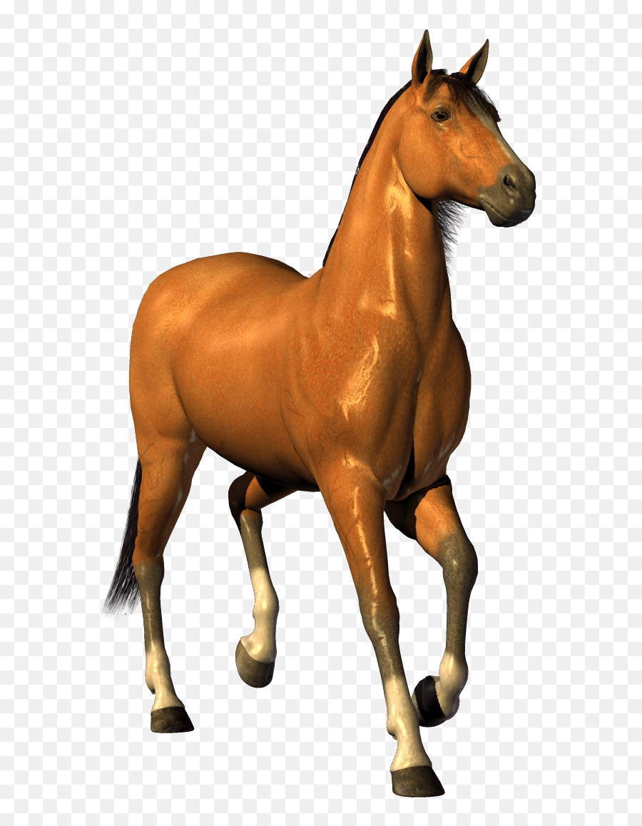 Download Horse Png Image Hq Png Image - Horse Png Clipart Emoji,Emoji Horse Plane