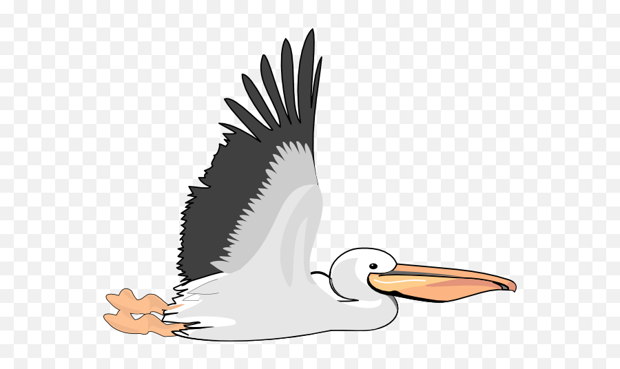 Pelican Clipart Png - Transparent Pelican Clipart Emoji,Pelican Emoji