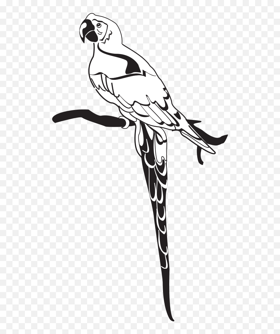 Parrot On Branch Png Svg Clip Art For - Clip Art Emoji,Parrot Emoji