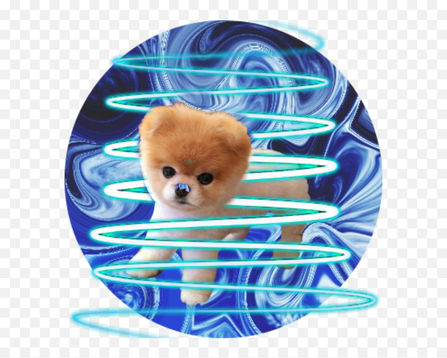 Largest Collection Of Free - Toedit Stickers On Picsart Soft Emoji,Jiffpom Emoji