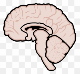 Graphic Human Brain - Gehirn Grafik Emoji