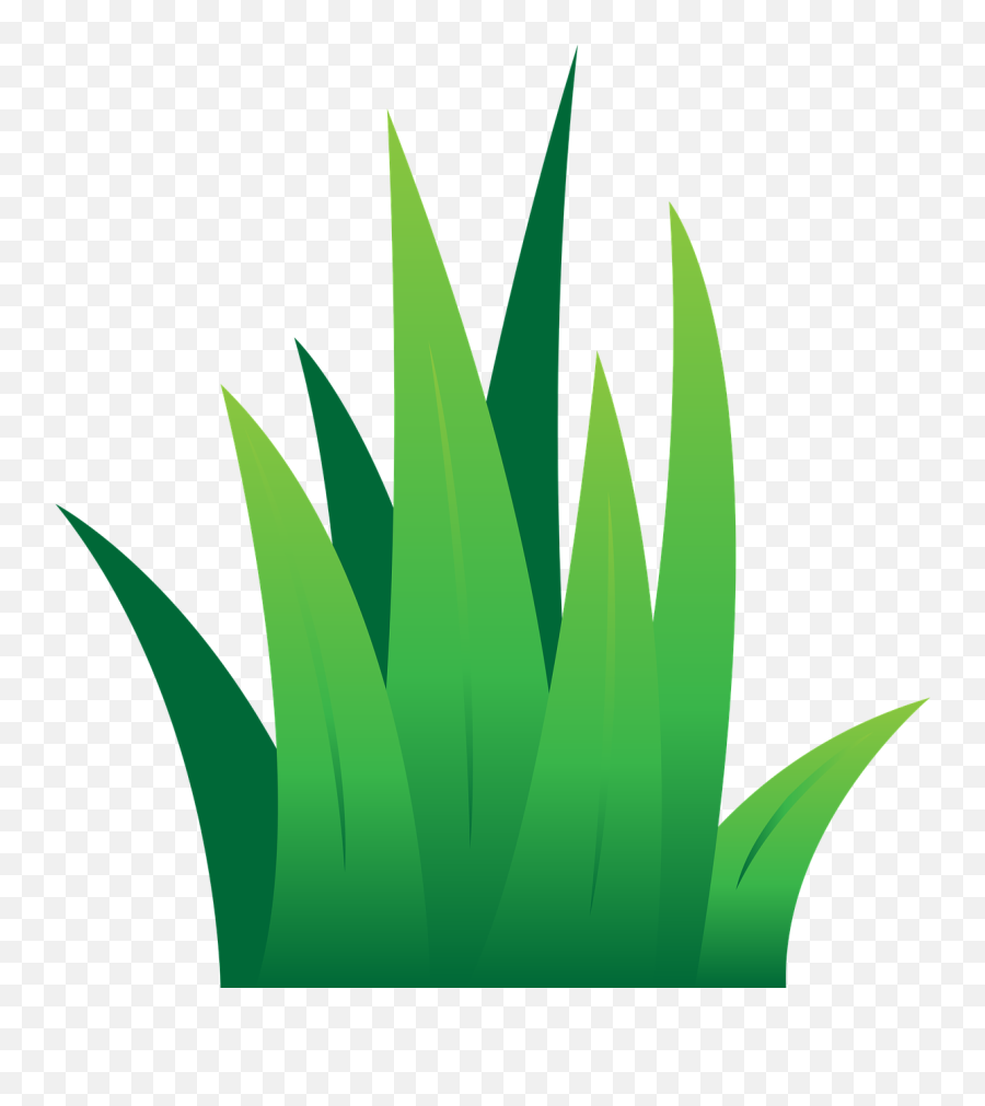 Lawn Green Grass Nature Color - Grass Vector Emoji,Lawn Mower Emoticon