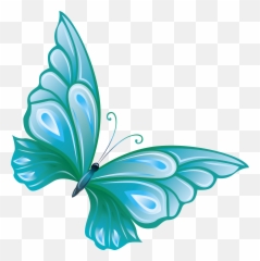 Download Butterflies Butterfly Transparent Hd Photos Clipart - Clipart Transparent Background Butterfly Png Emoji,Butterfly Emoticon