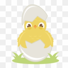 Chick Transparent Hatching Picture - Cartoon Emoji