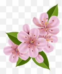 Cherry Blossom Emoji Transparent Png - Cherry Blossom Flower Clipart,Japanese Emoji Flower
