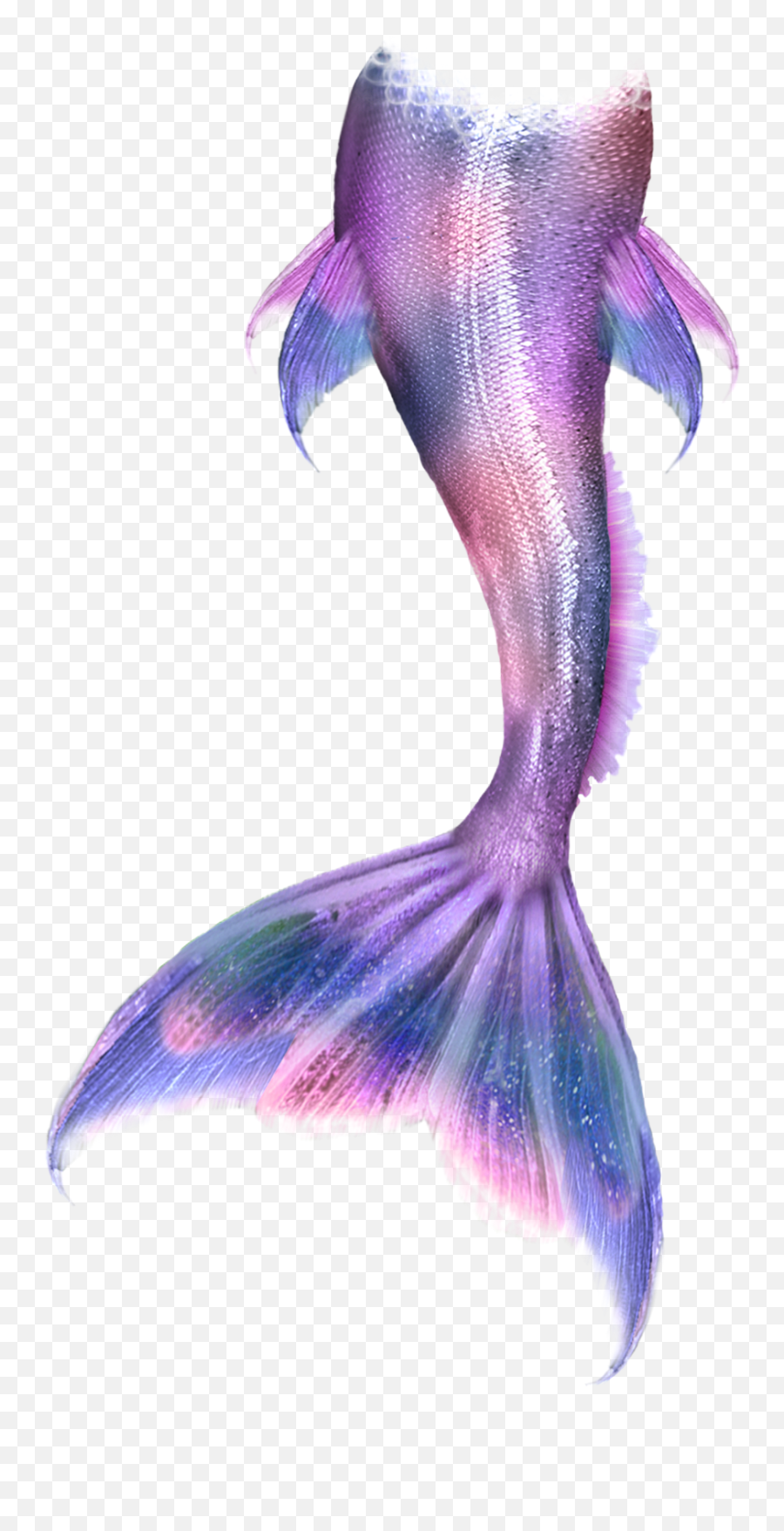 Siren Scales Tail Fin - Sticker By Wioleta7185 Realistic Mermaid Tail Emoji,Siren Emoji