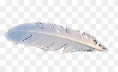 Trending Quill Stickers - Stickers De Pluma Emoji,Quill Emoji