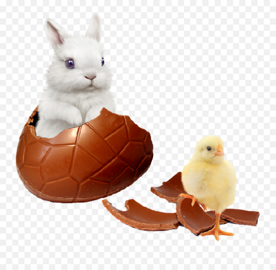 Rabbit Babychick Sticker - Domestic Rabbit Emoji,Rabbit Egg Emoji