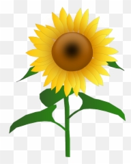 Cartoon Sunflower Clipart Png - Sun Flower Clipart Emoji,Sunflower Emoji Png