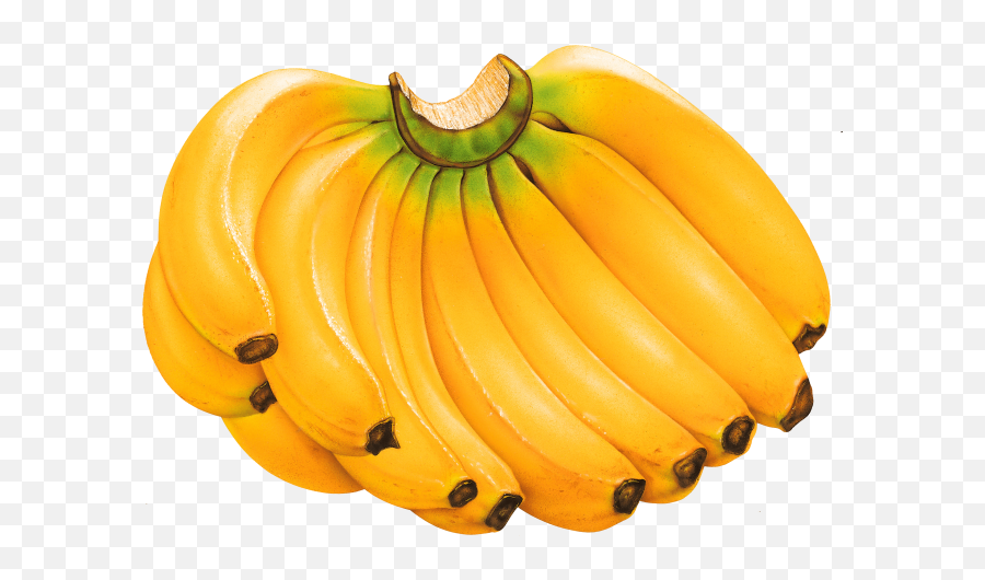 Most Viewed - Transparent Image For Free Download Starpng Banana Hd Images Png Emoji,Sikh Khanda Emoji