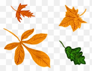 Autumn Leaves Clipart - Herbstbilder Kostenlos Emoji