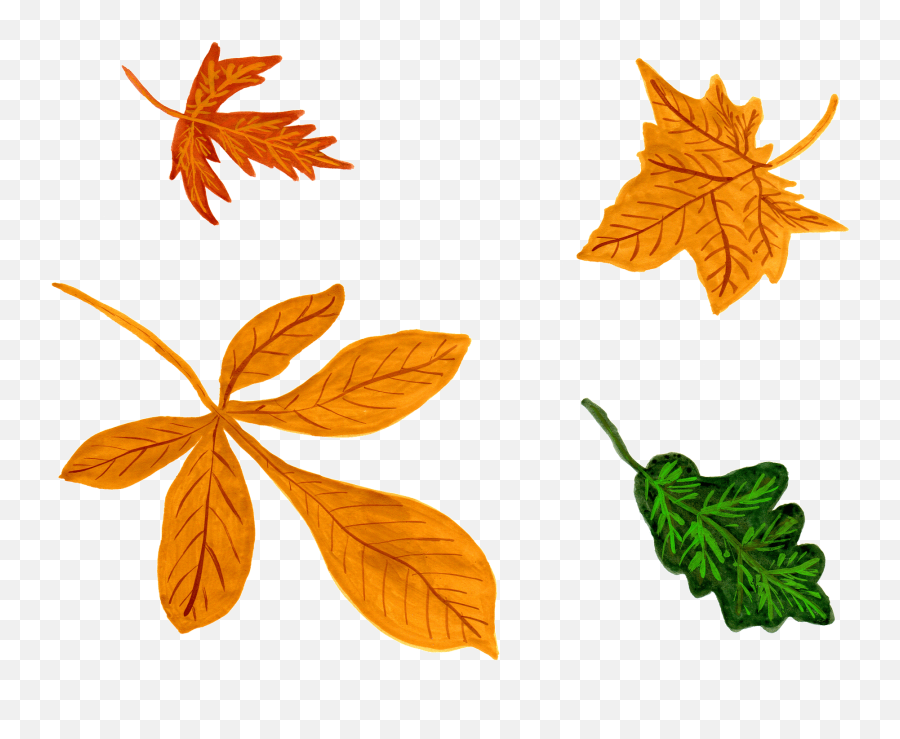 Autumn Leaves Clipart - Herbstbilder Clipart Kostenlos Emoji,Fall Leaf Emoji