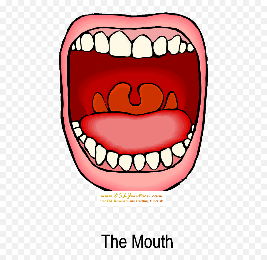 Mouth Clip Art Free Clipart Images - Cartoon Mouth For Kids Emoji,Covering Mouth Emoji