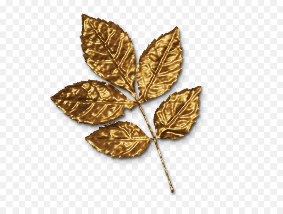 The Newest Maple Stickers - Maple Leaf Emoji,Maplestory Emoji