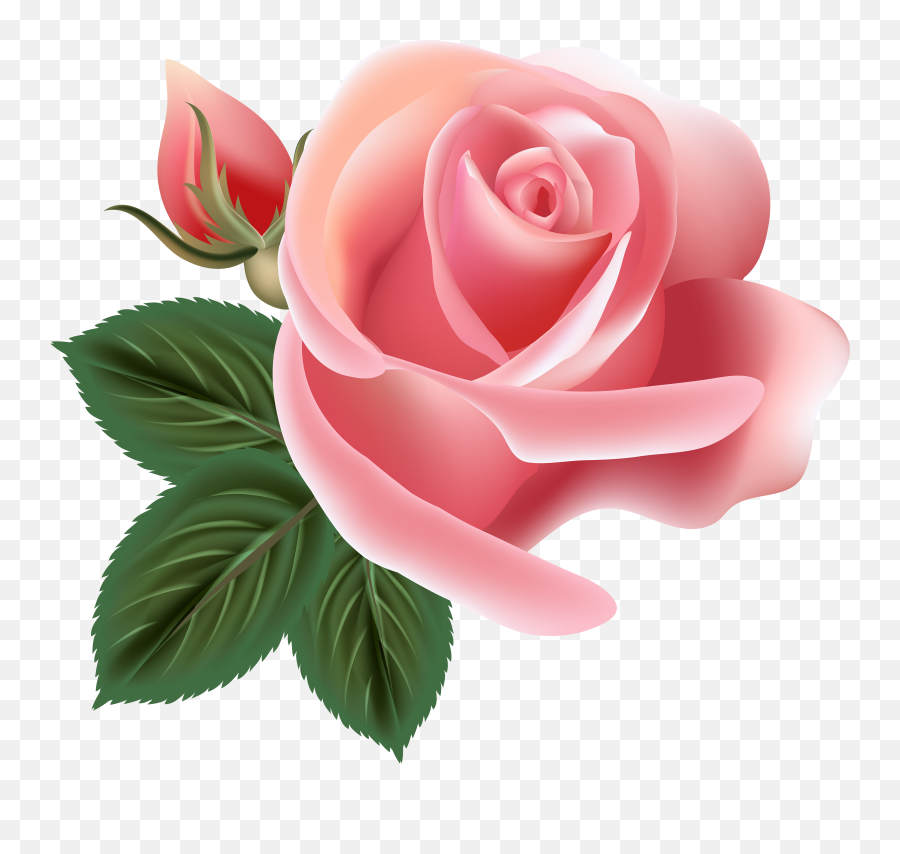 Free Clip Art Pink Roses - Pink Rose Vector Png Emoji,Pink Rose Emoji