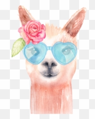 Aquarelle Lama Clipart Clipart Animal Mignon Aquarelle - Watercolor Llama Backgrounds Emoji,Alpaca Emoji