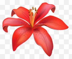 Flower Clip Art Lily Gardening And Vegetables Gif - Lily Flower Vector Png Emoji,Pomegranate Emoji