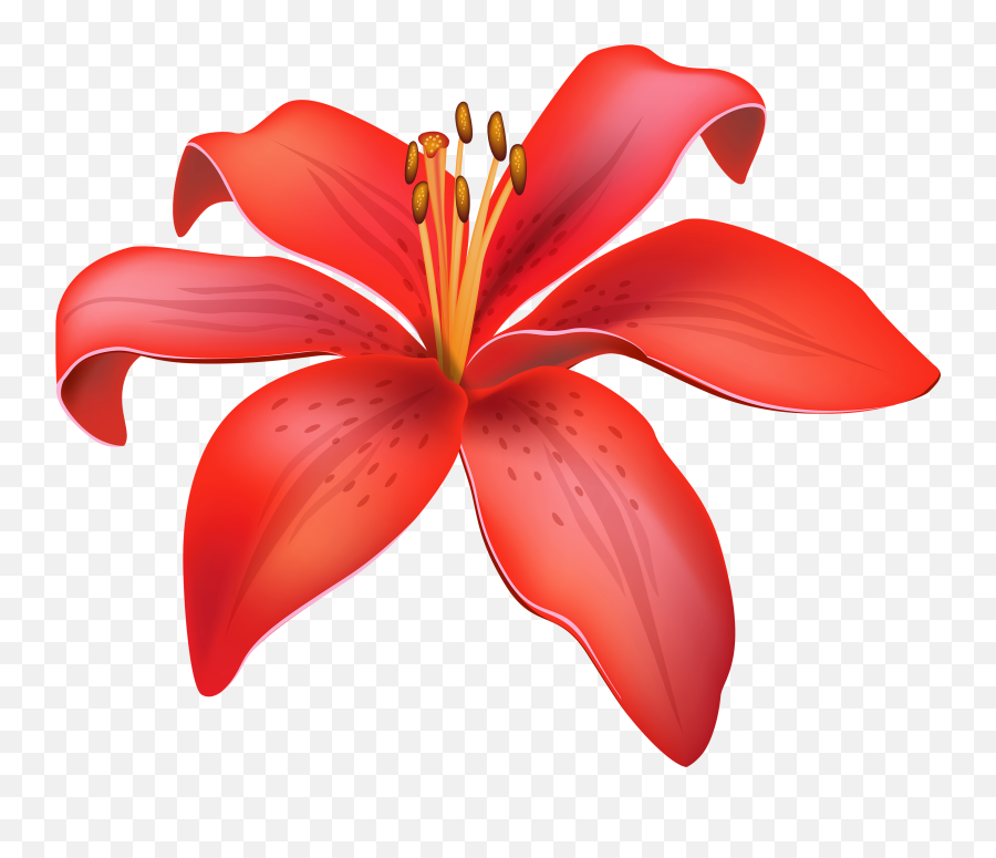 Flower Clip Art Lily Gardening And Vegetables Gif - Lily Flower Vector Png Emoji,Pomegranate Emoji