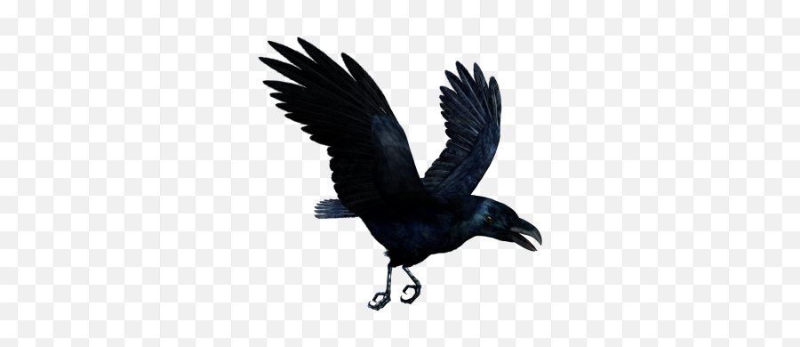 Download Ravan Free Png Transparent Image And Clipart - Flying Raven Png Emoji,Raven Bird Emoji