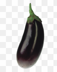 Eggplant Clipart Eggplant Emoji Eggplant Eggplant Emoji - Transparent Background Fruits Vegetables,Aubergine Emoji
