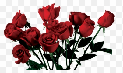 Clipart Roses Dead Rose Clipart Roses Dead Rose Transparent - Roses Transparent Emoji,Dead Flower Emoji