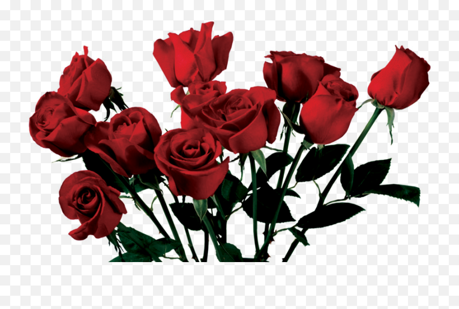 Clipart Roses Dead Rose Clipart Roses Dead Rose Transparent - Roses Transparent Emoji,Dead Flower Emoji