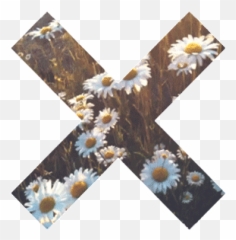 Top Tumblr Radar Stickers for Android u0026 iOS Gfycat - Gif Png Flower Emoji
