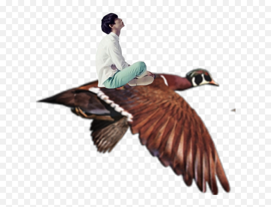 Boy Goose Flying Bird - Sticker By Tobias P Duck Emoji,Flying Bird Emoji