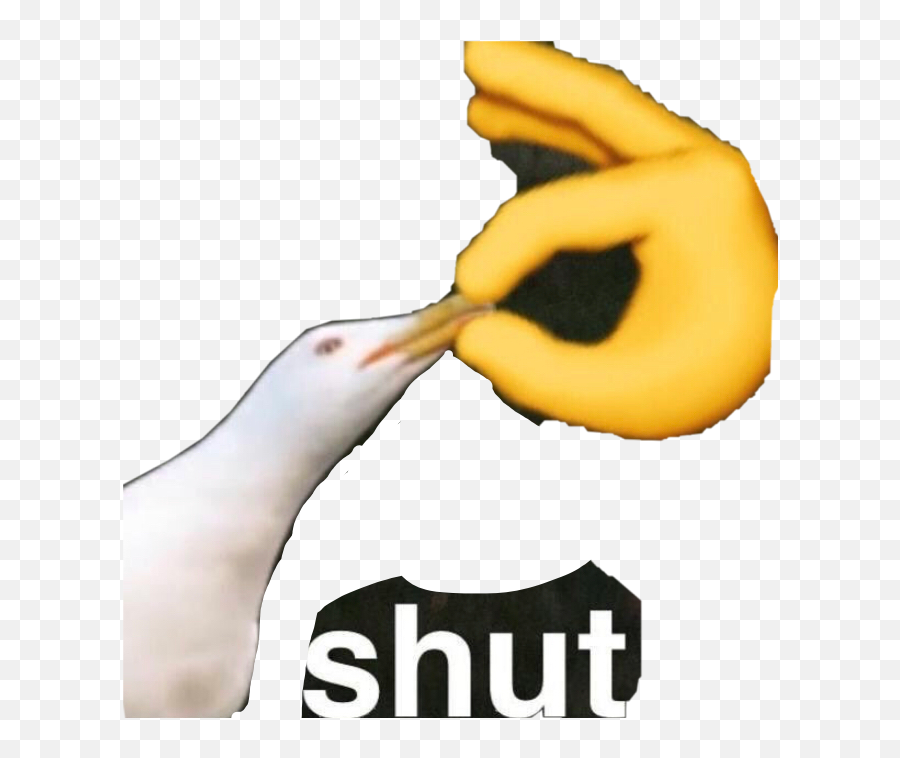 Shut Meme Bird Sticker By Insert Cool Username - Shut Meme Emoji,Bird Emoji
