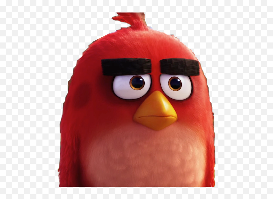 The Most Edited Angry Birds Picsart - Angry Bird Angry Emoji,Angry Bird Emoji