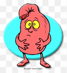 Indigestion Gastric Acid Pneumonia - Clipart Stomach Cartoon Emoji