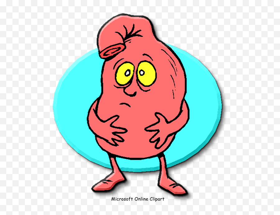 Indigestion Gastric Acid Pneumonia - Clipart Stomach Cartoon Emoji,Stomach Emoji