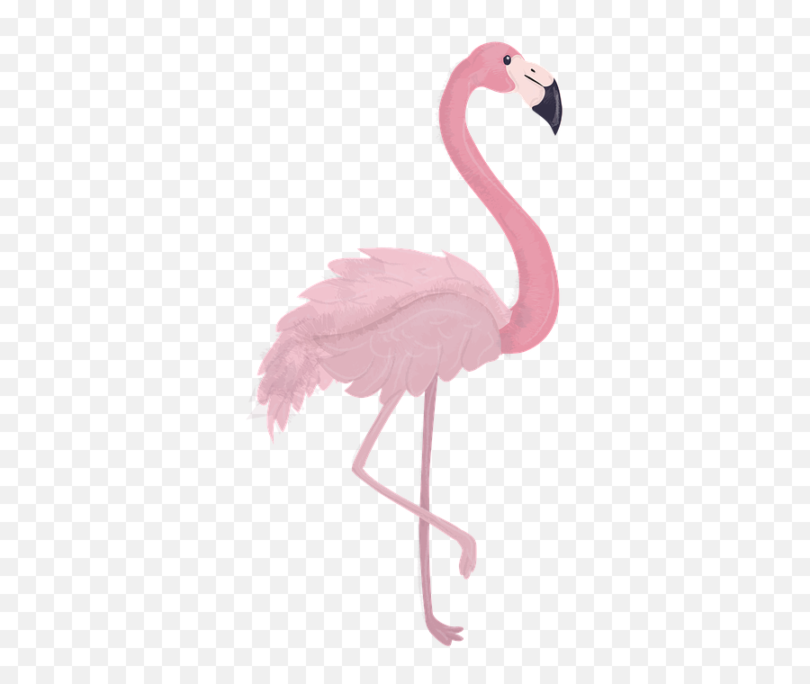 Flamingo Animal Zoo - Christmas Flamingo Emoji,Pink Flamingo Emoji