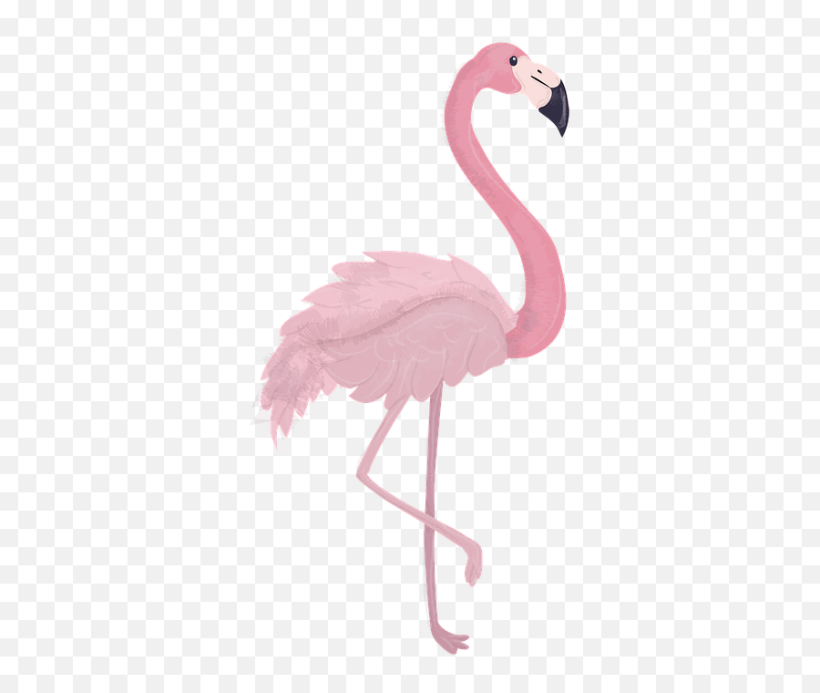 flamingo-animal-zoo-christmas-flamingo-emoji-pink-flamingo-emoji