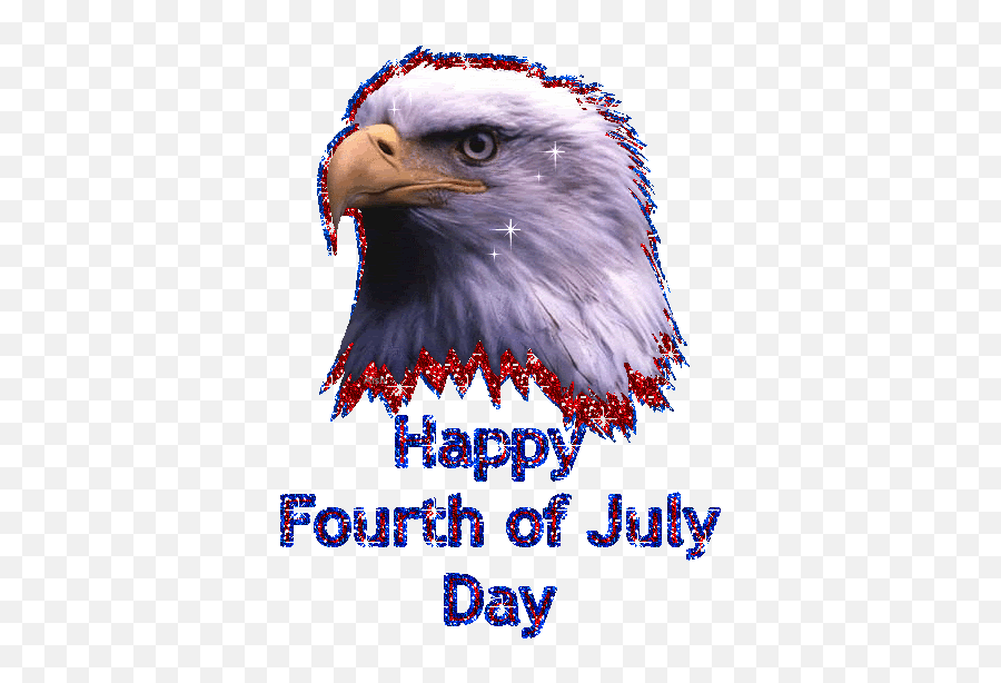 Gif America 4th July Eagle - 4th Of July Eagle Gif Emoji,Bald Eagle Emoji