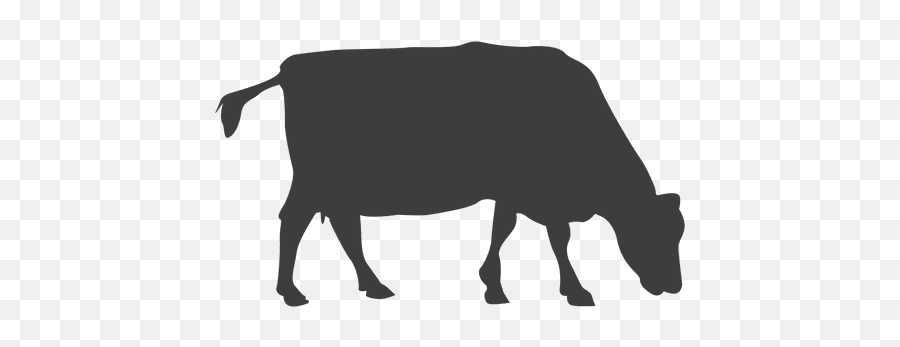 Cattle Vector Grazing Cow Transparent U0026 Png Clipart Free - Cow Silhouette Transparent Background Emoji,Emoji Cow