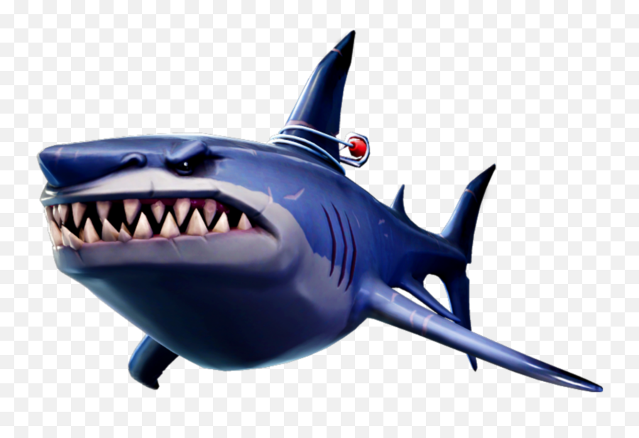 The Most Edited Shark Picsart - Describe An Aquatic Animal Cue Card Emoji,Shark Fin Emoji