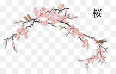 Japanese Flower Png Transparent - Cherry Blossom Japan Transparent Emoji,Japanese Emoji Flower