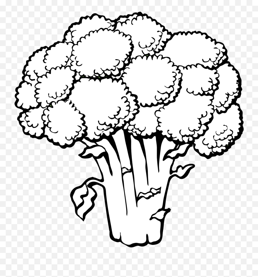 Broccoli Vegetables Food Fresh Healthy - Broccoli Clipart Black And White Emoji,Bean Sprout Emoji