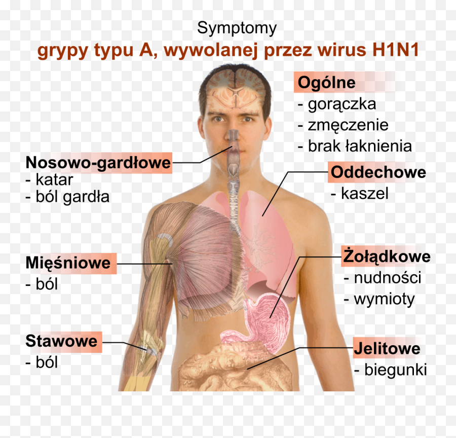 Symptoms Of Swine Flu Pl - Long Does Influenza Last Emoji,Runny Nose Emoji