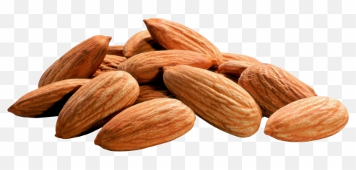 40 Png Almond Pics To Free Download - Almonds Png Emoji,Walnut Emoji