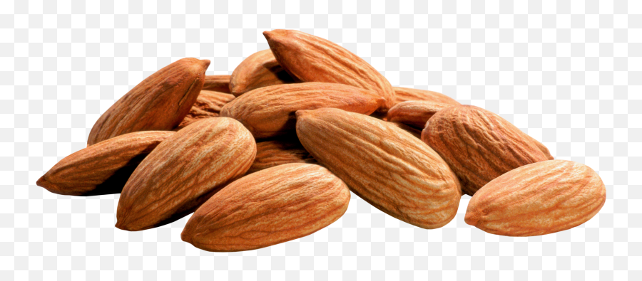 40 Png Almond Pics To Free Download - Almonds Png Emoji,Walnut Emoji