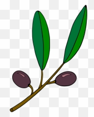 Olive clipart svg Transparent FREE for download - Plant Clipart Branch Emoji