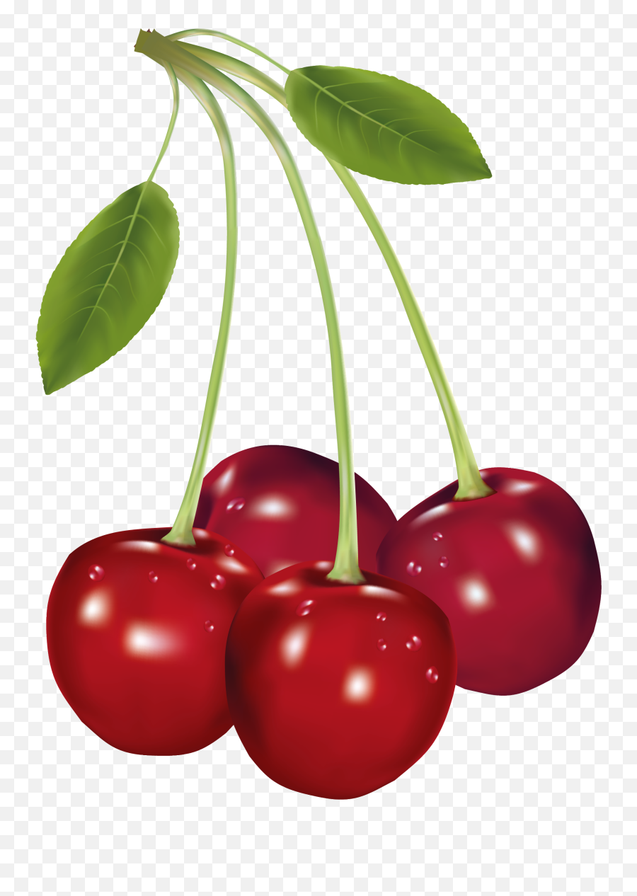 Cherry Clipart Cherry Fruit Cherry - Fruit Cherry Clipart Emoji,Cherries Emoji
