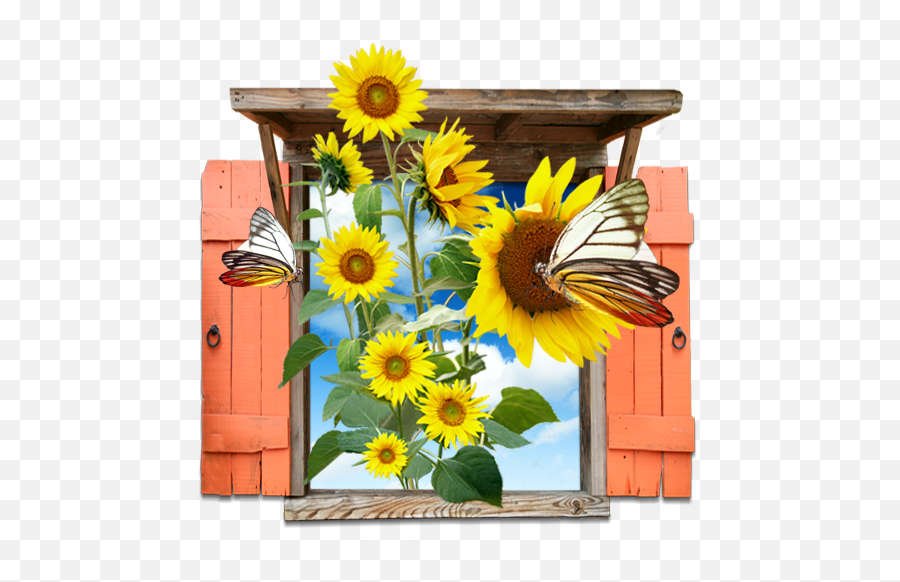Flowers Sunflowers Window Icon - Sunflower Day Care Emoji,Sunflower Emoji Png