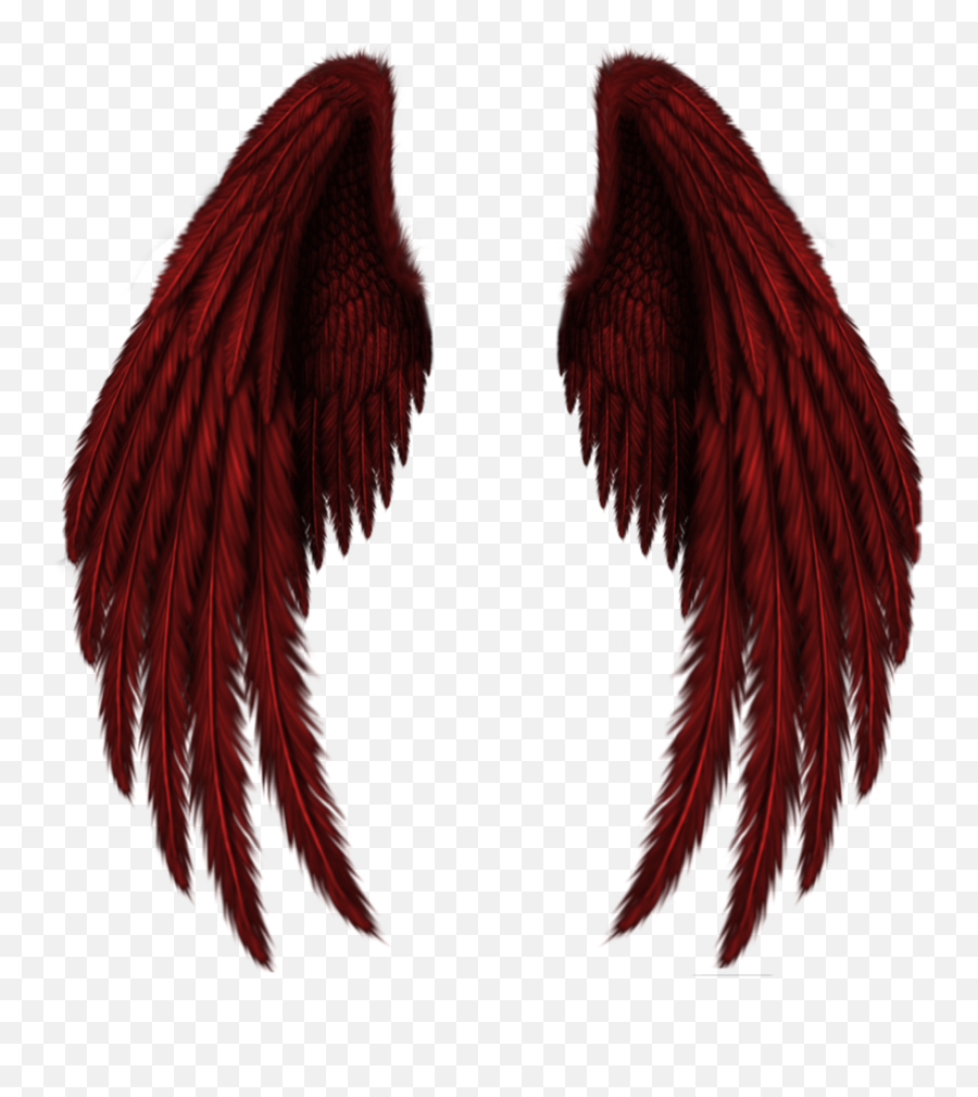 Pin - Transparent Background Black Wings Emoji,Angel Wings Emoji