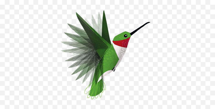 Texas Birds Sticker Pack - Hummingbird Emoji,Hummingbird Emoji