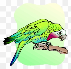 Macaw Clipart - Parrots Emoji,Parrot Emoji