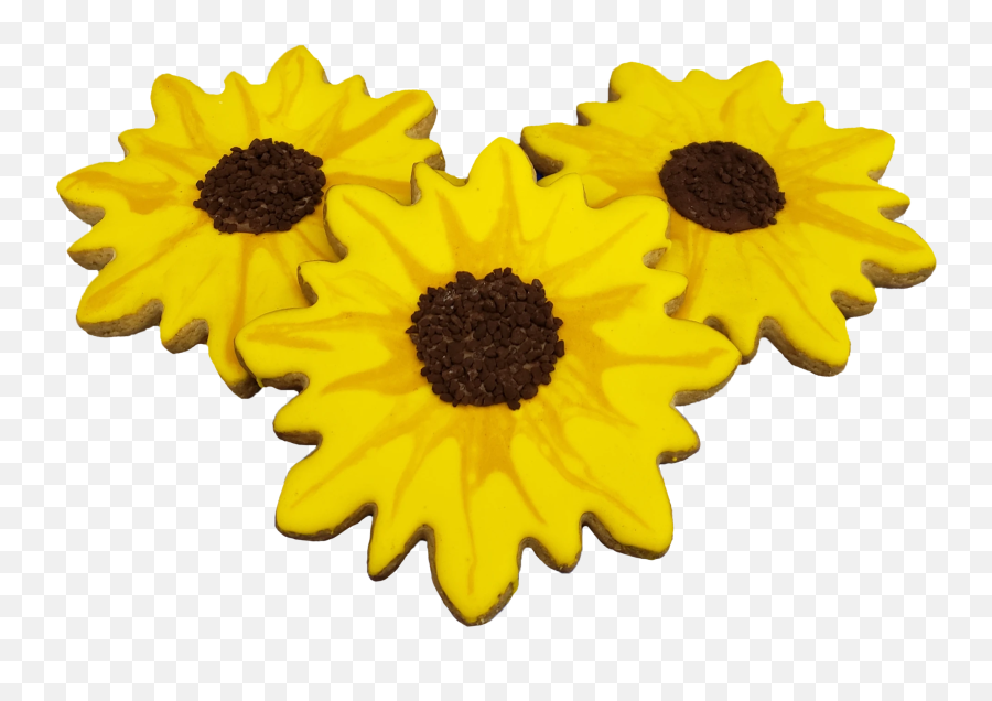 Sunflower Cookie - Sunflower Emoji,Sunflower Emoji Png