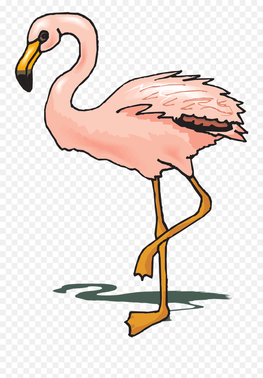 Bird Flamingo Shadow Pink Wings - Warna Burung Flamingo Emoji,Pink Flamingo Emoji